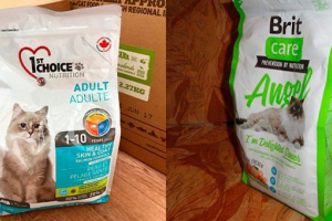 Рейтинг та вартість premium feed для кішок Рейтинг та вартість premium feed для кішок